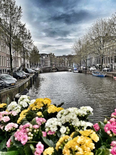 Welke dingen geniet je het meest van als je naar nederland reist?